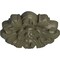 Ekena Millwork Emery Leaf Ceiling Medallion, Hand-Painted Painted Turtle, 7 5/8"OD x 1"P CM07EMPTF - alternate 2